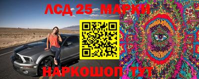 PSILOCYBIN Кунгур