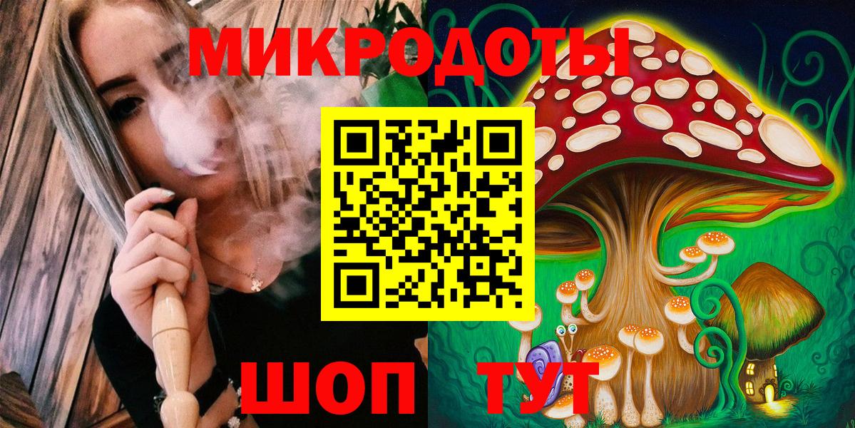 Галлюциногенные грибы Psilocybe Кировск