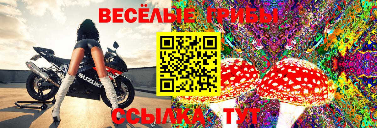 Галлюциногенные грибы ЛСД  Вход с VPN  Кировск  Галлюциногенные грибы Psilocybine cubensis 